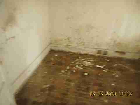 15399 Rosa Parks (15)_m.jpg